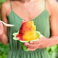 Dessert Makers Great Northern 32 Oz. Blue Countertop Snow Cone Machine 11 Dessert Makers Great Northern 32 Oz. Blue Countertop Snow Cone Machine -Dessert Makers Popular Store blue great northern snow cone machines hwd630232 44 1000